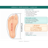 Botines Miss Fashion